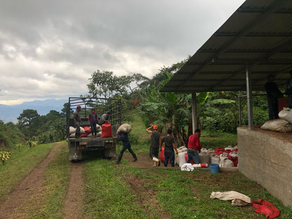 Honduras Finca La Unica Red Honey Coffee – Unique & Flavorful